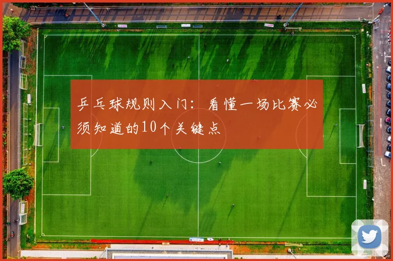 乒乓球规则入门：看懂一场比赛必须知道的10个关键点