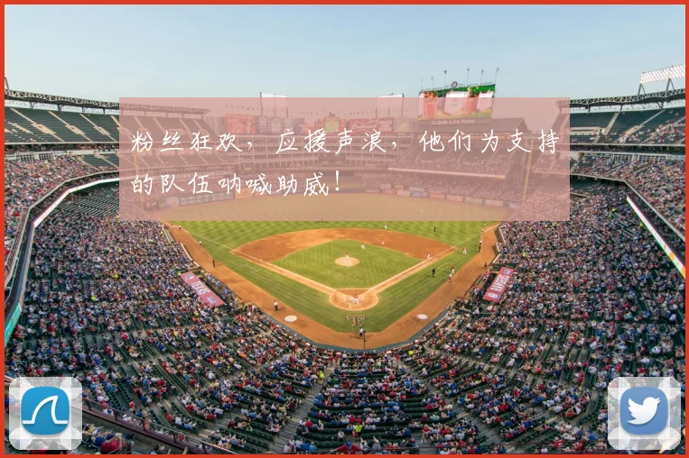 粉丝狂欢,应援声浪,他们为支持的队伍呐喊助威!