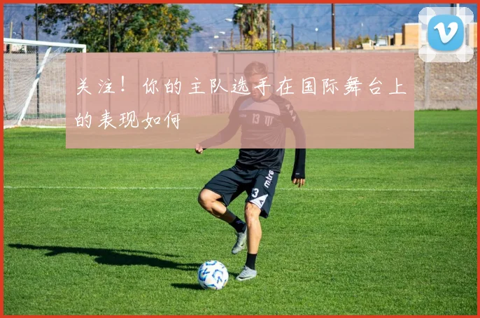 关注！你的主队选手在国际舞台上的表现如何