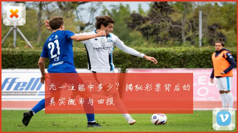 元一注能中多少?揭秘彩票背后的真实概率与回报