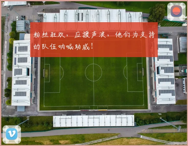 粉丝狂欢，应援声浪，他们为支持的队伍呐喊助威！